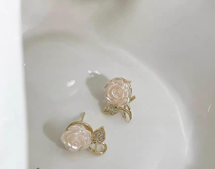 WhatsApp-Image-2025-06-23-at-6.36.34-AM-1_cleanup Flower Leaf Korean Zircon Earings For Women Girls - Image 1
